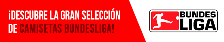 Camisetas Bunedesliga